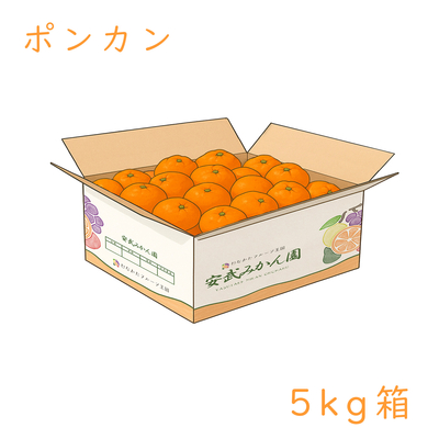 ポンカン 5kg箱