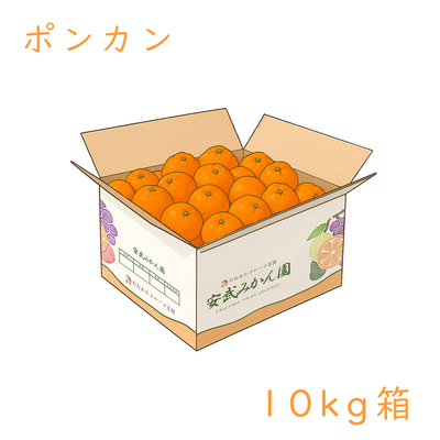 ポンカン10kg箱