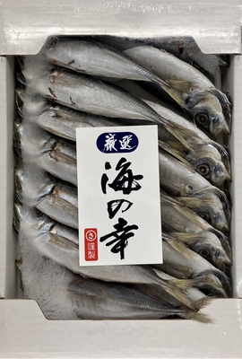 あじ丸干(大箱)