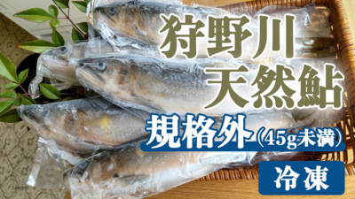 鮎　規格外　（45g未満　300円/100ｇ）