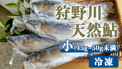 鮎　小　（45g~50g未満）