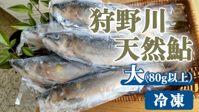 鮎　大　（80g以上）