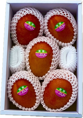 宮古島産【贈答用マンゴー】２kg　県外発送