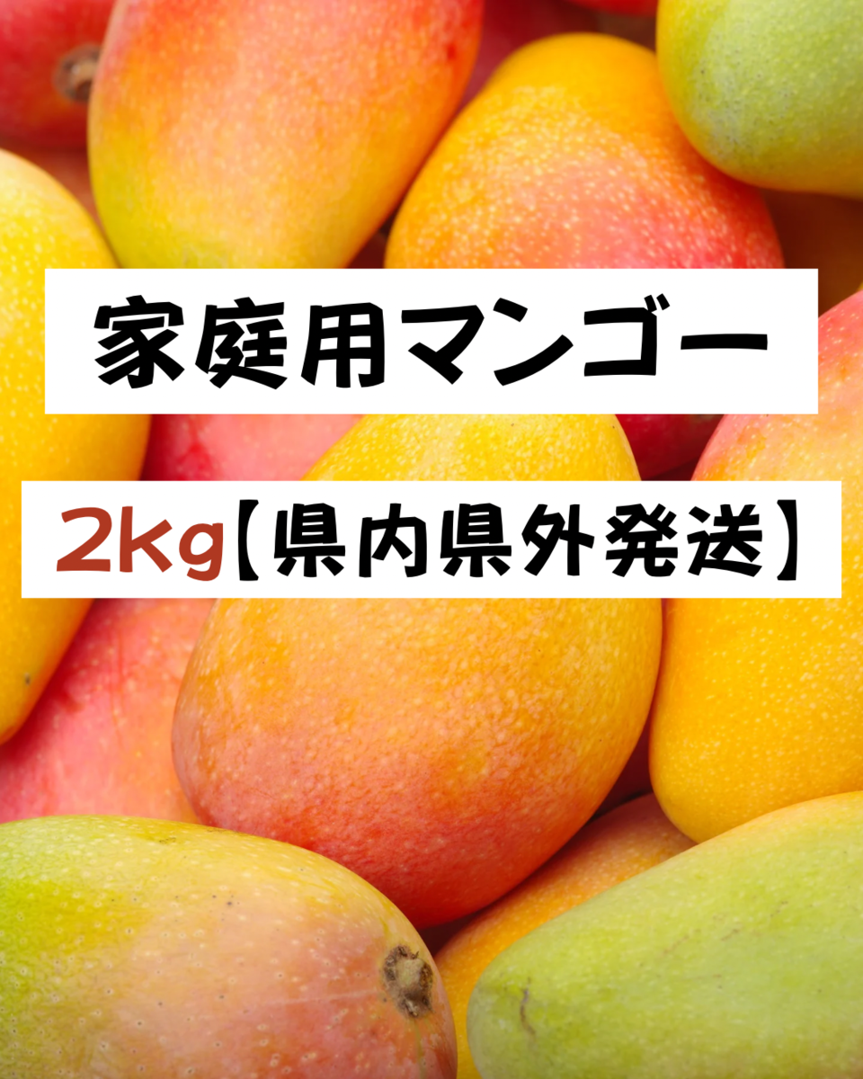 宮古島産【家庭用マンゴー】2kg 県内・県外発送 | 大野果樹園／宮古島