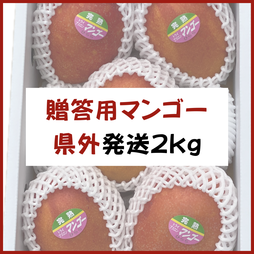 宮古島産【贈答用マンゴー】2kg 県外発送 | 大野果樹園／宮古島