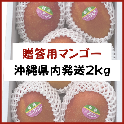 宮古島産【贈答用マンゴー】2kg 県内発送