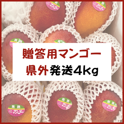宮古島産【贈答用マンゴー】4kg 県外発送