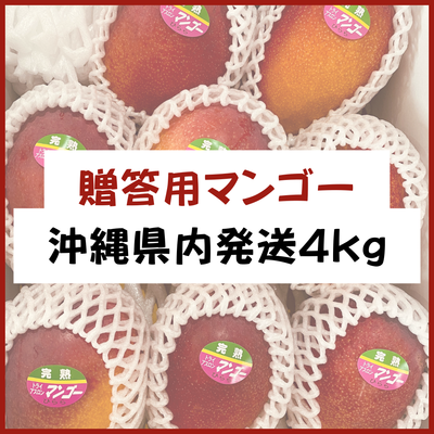 宮古島産【贈答用マンゴー】4kg 県内発送