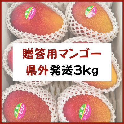 宮古島産【贈答用マンゴー】3kg 県外発送
