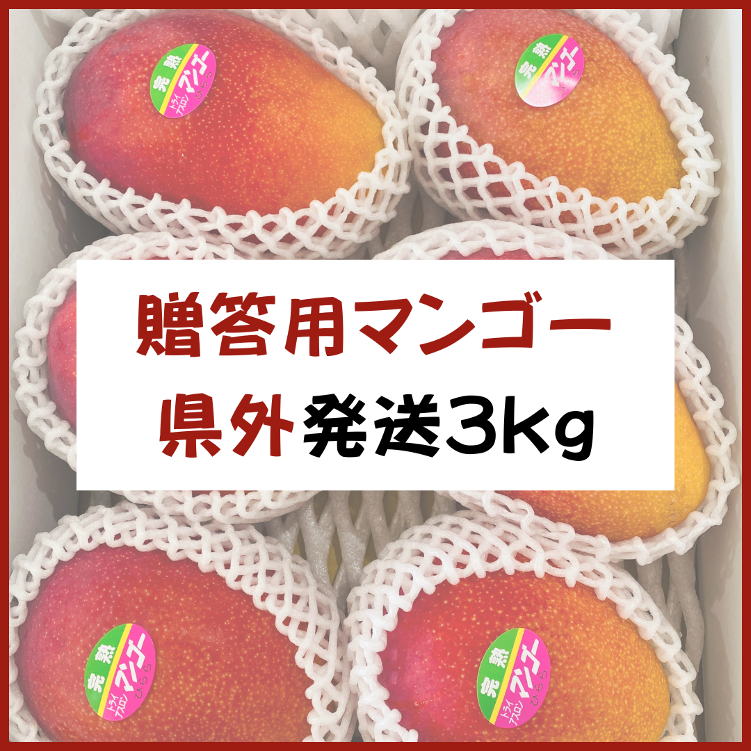 宮古島産【贈答用マンゴー】3kg 県外発送 | 大野果樹園／宮古島