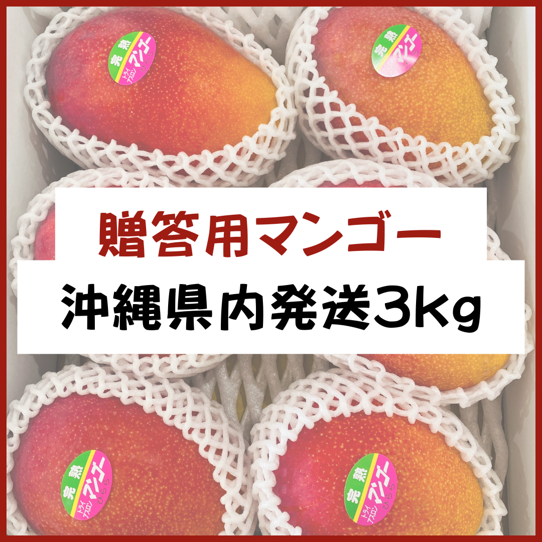 宮古島産【贈答用マンゴー】3kg 県内発送 | 大野果樹園／宮古島