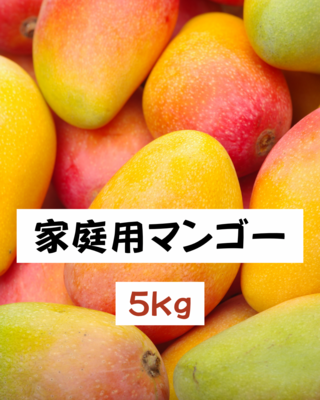 宮古島産マンゴー】大野果樹園