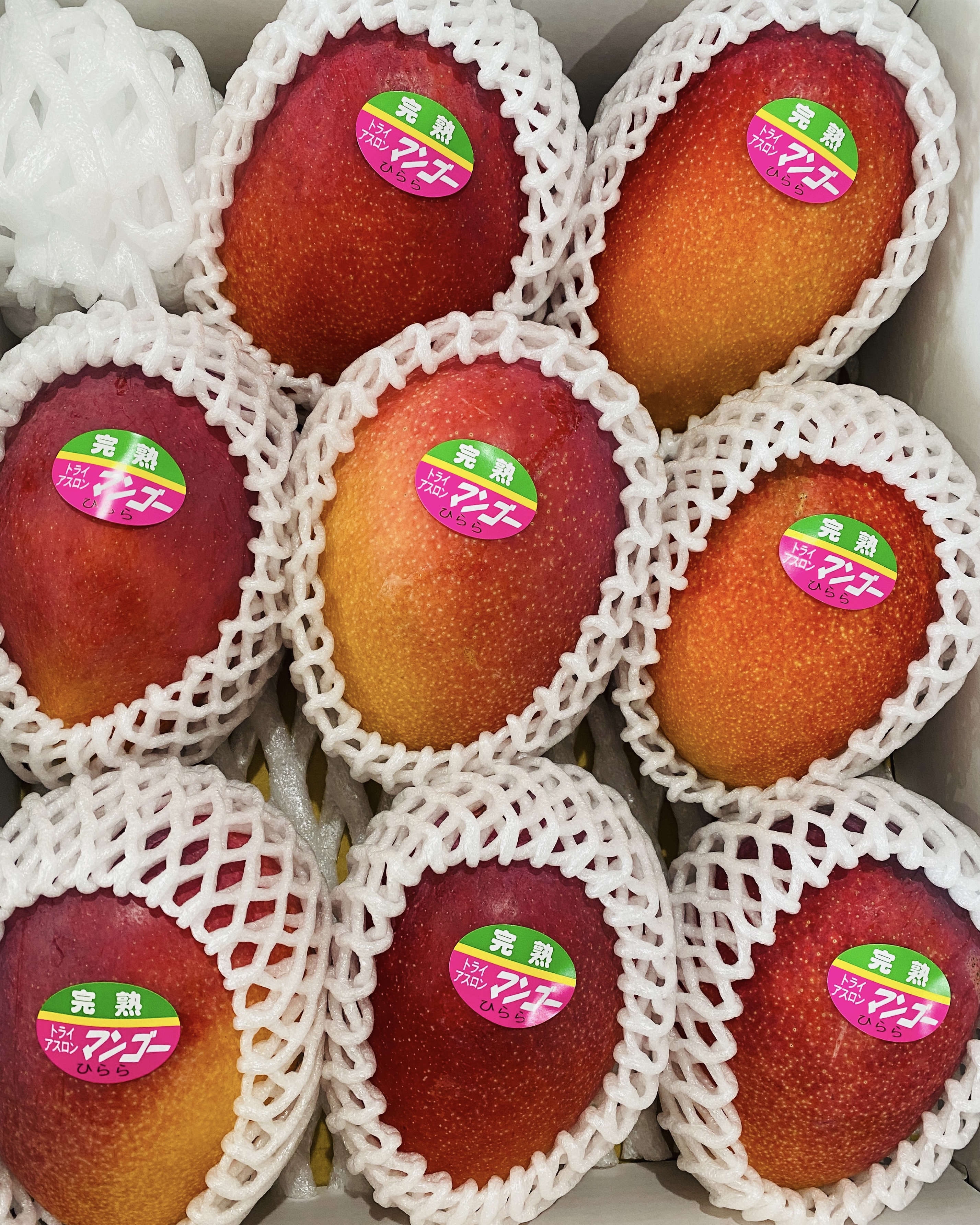 宮古島産　摘果マンゴー10kg（大）送料込み　本日、処分します^ ^ 宮古島産 摘果マンゴー10kg（大）送料込み 本日、処分します^ ^