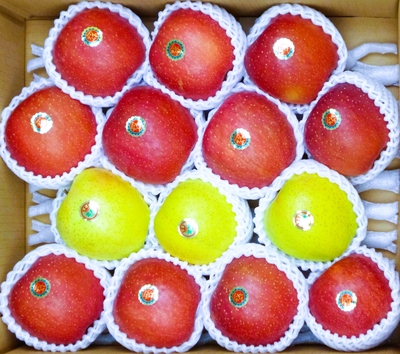 りんご | 佐々木あきおはるこ農園