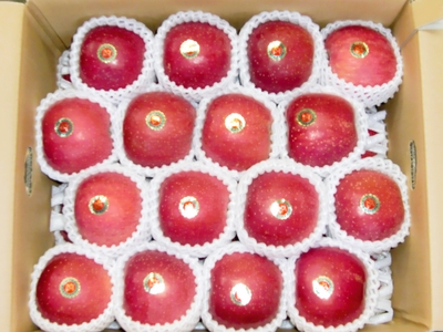 りんご（サンつがる）　５kg（１段詰め）