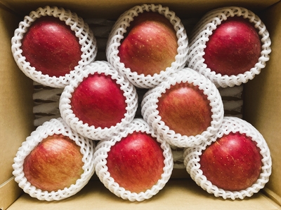 りんご　サンつがる（３ｋｇ）