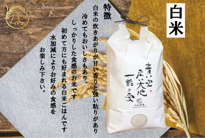 有機栽培米 白米 ゆめぴりか【5kg】有機JAS認証〔ソマチット〕〔アートテン〕令和7年産 17年間農薬・化学肥料不使用