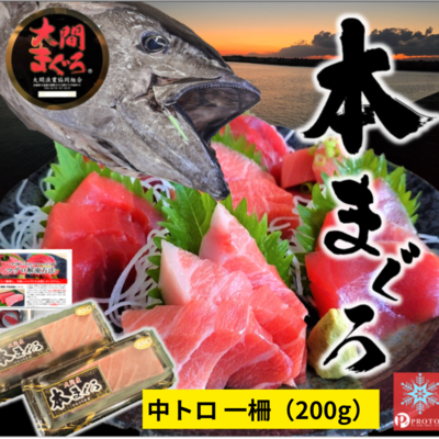 大間産本マグロ　中トロ200ｇ×1柵
