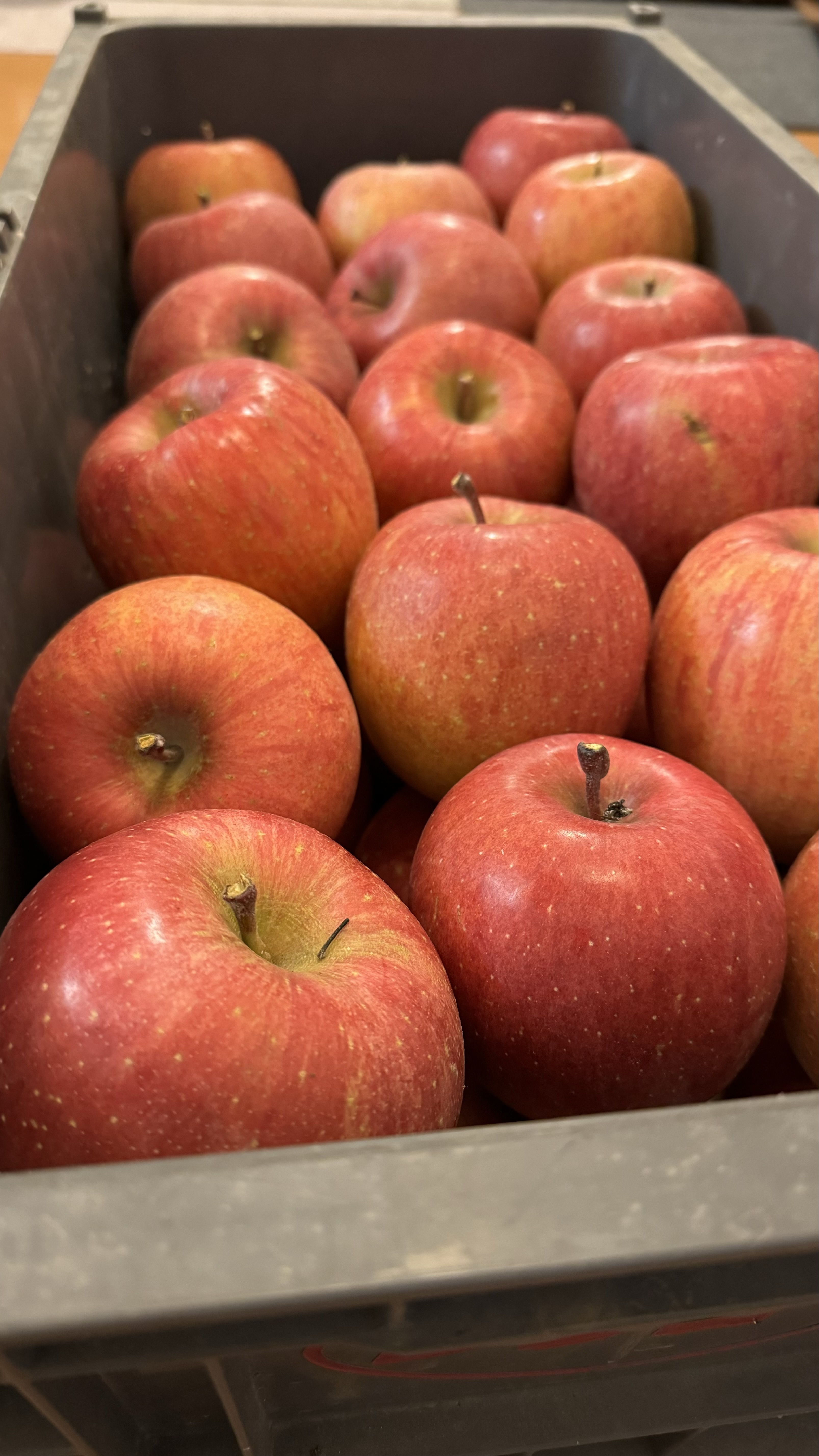 軽井沢野菜 軽井沢ohanami farm | 軽井沢ohanamifarm