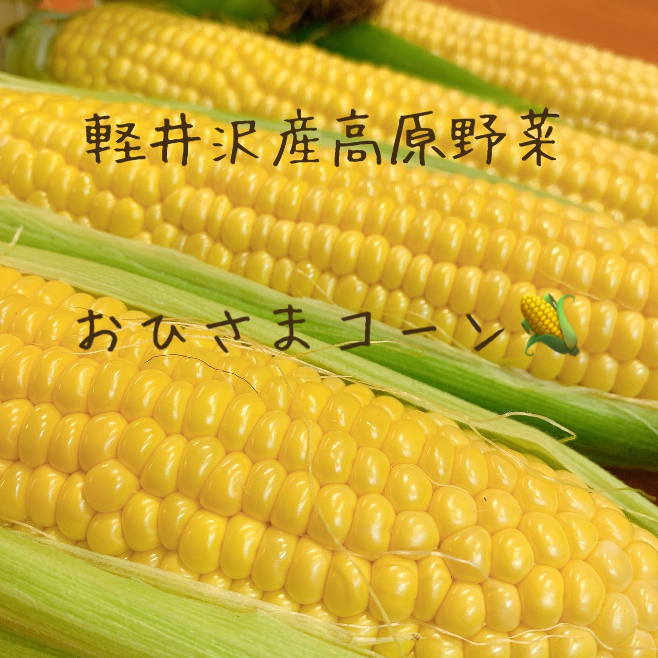 まちゃこさまヤングコーン 【公式通販】