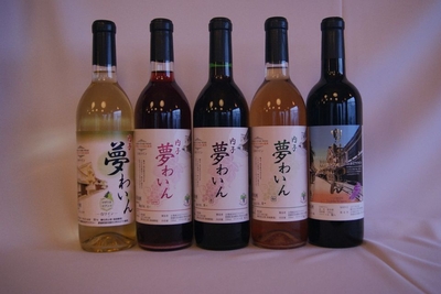 【ワインのみ】内子夢わいん5本セット720ml