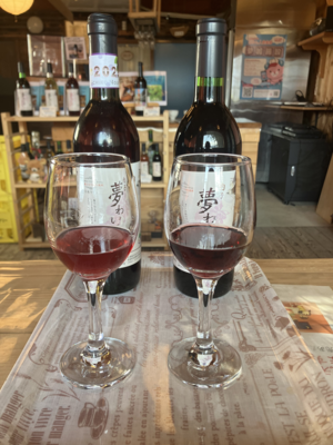 【飲み比べセット】内子夢わいん　ベリーA 720ml