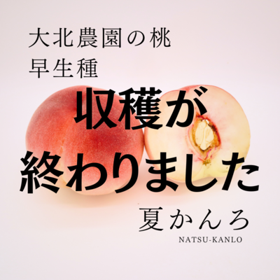 夏かんろ 約2kg