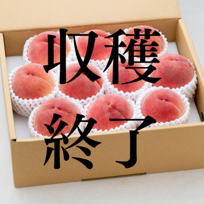 早生桃 約3㎏