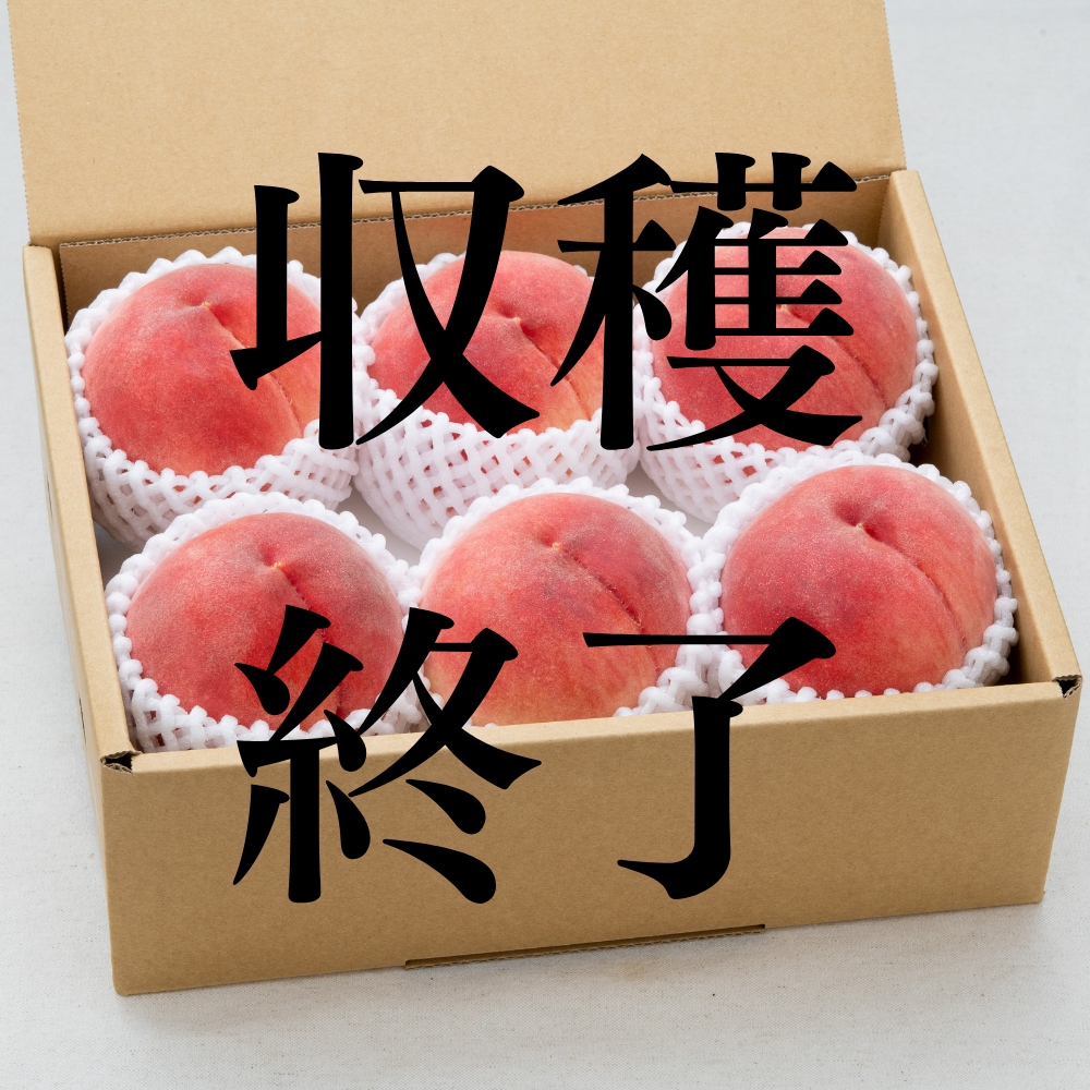 新鮮な桃 中サイズ 多数入 たっぷりサイズ！旬の桃 品種おまかせ L玉以上！約5kg【クール便
