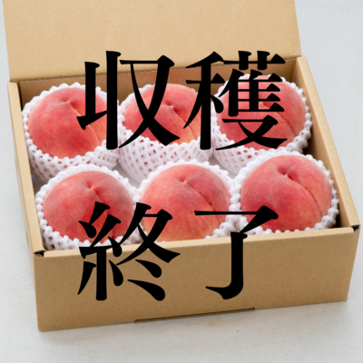 自宅用 早生桃 約2kg