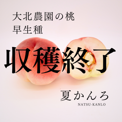 夏かんろ 約2kg
