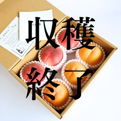 珊瑚と琥珀のセット 約2㎏