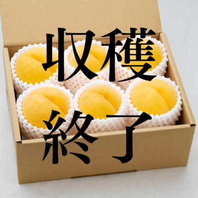 黄桃【滝ノ沢ゴールド】 約2㎏