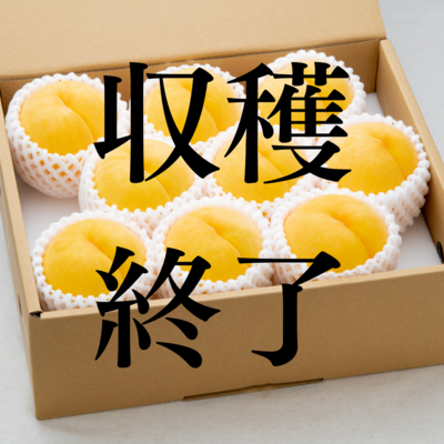 黄桃【滝ノ沢ゴールド】 約3㎏