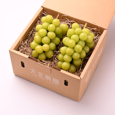 シャインマスカット2房(約1.2kg)