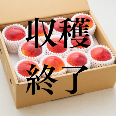 ﾈｸﾀﾘﾝ(ｽｲｰﾄﾋﾞｰﾅｽ) 約3㎏　