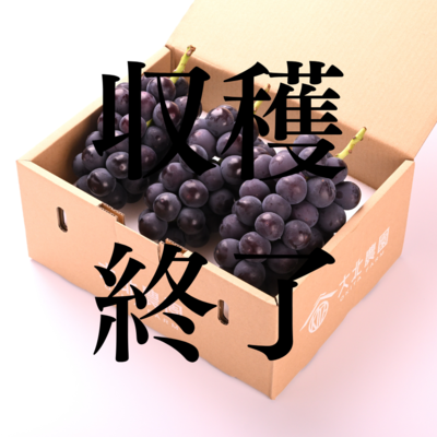 巨峰3房(約1.5kg)