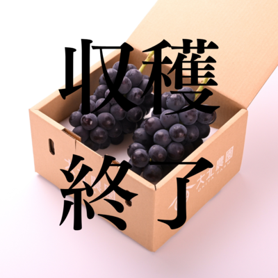 巨峰2房(約1kg)