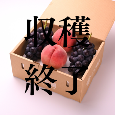 白桃2玉と巨峰2房のセット