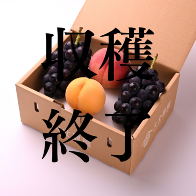 白桃と黄桃と巨峰2房セット