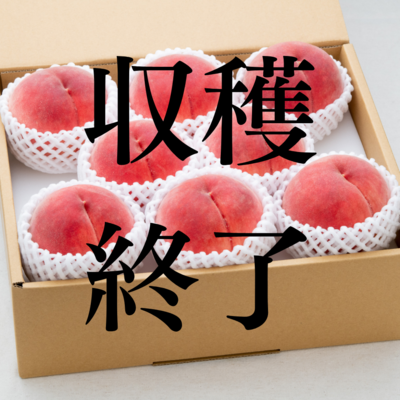 極晩生桃 約3kg