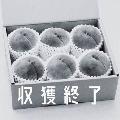 【夜明けの鳳セット】7月中下旬 約2kg 贈答品