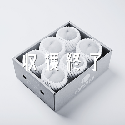 【黄桃-滝の沢ゴールド】7月中下旬 約2kg 贈答品