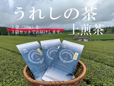 上煎茶　３袋セット
