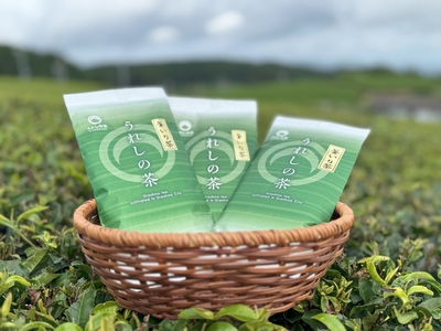 釜炒り茶 3袋セット | 嬉野商店