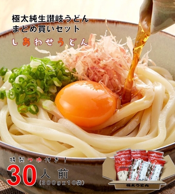 送料無料 しあわせ製麺 本場讃岐 純生うどん 30人前 つゆ付き