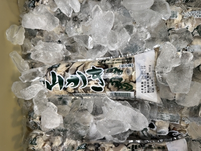 むき身牡蠣500g&times;2本(生食用)