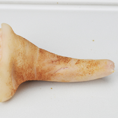 尻尾1kg（冷凍）