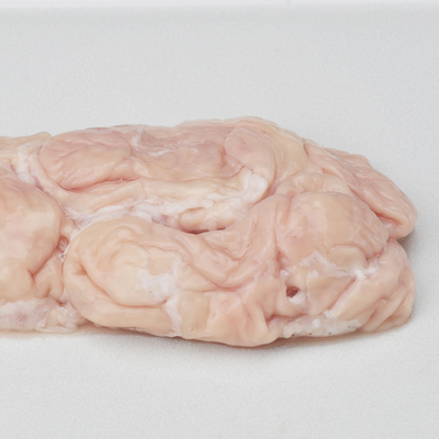 大腸1kg