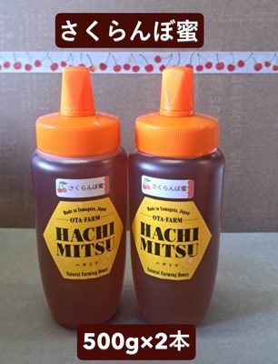 はちみつ（さくらんぼ蜜）500ｇ　2本